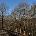 Waseberg  Hamburg|Blankenese : Altona, Bezirke, Blankenese, Deutschland, Hamburg