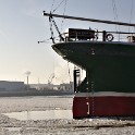 Rickmer Rickmers (Niederhafen)  Hamburg/Neustadt : Bark, Bezirke, Deutschland, Hamburg, Hamburg-Mitte, Neustadt, Niederhafen, Rickmer Rickmers, Schiffe, Segelschiffe