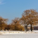 Auf der Außenalster  Hamburg/Alster : Alster, Außenalster, Deutschland, Gewässer, Hamburg, Winter