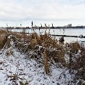 An der Außenalster  Hamburg/Alster : Alster, Außenalster, Deutschland, Gewässer, Hamburg, Winter