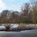 An der Außenalster  Hamburg/Alster : Alster, Außenalster, Deutschland, Gewässer, Hamburg, Winter