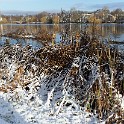 An der Außenalster  Hamburg/Alster : Alster, Außenalster, Deutschland, Gewässer, Hamburg, Winter