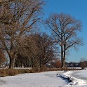 An der Außenalster  Hamburg/Alster : Alster, Außenalster, Deutschland, Gewässer, Hamburg, Winter