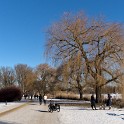 An der Außenalster  Hamburg/Alster : Alster, Außenalster, Deutschland, Gewässer, Hamburg, Winter