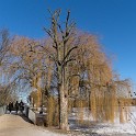 An der Außenalster  Hamburg/Alster : Alster, Außenalster, Deutschland, Gewässer, Hamburg, Winter