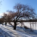 An der Außenalster  Hamburg/Alster : Alster, Außenalster, Deutschland, Gewässer, Hamburg, Winter