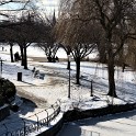 An der Außenalster  Hamburg/Alster : Alster, Außenalster, Deutschland, Gewässer, Hamburg, Winter