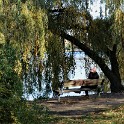 An der Außenalster  Hamburg/Außenalster : Alster, Außenalster, Deutschland, Gewässer, Hamburg