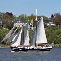 Gaffelschoner Abel Tasman  Hamburg/Hafengeburtstag : 2016, Deutschland, Hafengeburtstag, Hamburg, Schiffe, Schoner, Segelschiffe, Veranstaltungen