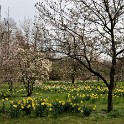 Arboretum  Ellerhoop : Arboretum Ellerhoop, Deutschland, Ellerhoop, Schleswig-Holstein