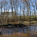 An der Bille  Schleswig-Holstein/Sachsenwald : Deutschland, Sachsenwald, Schleswig-Holstein