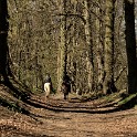 An der Bille  Schleswig-Holstein/Sachsenwald : Deutschland, Sachsenwald, Schleswig-Holstein