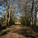 An der Bille  Schleswig-Holstein/Sachsenwald : Deutschland, Sachsenwald, Schleswig-Holstein