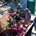 Am Fischereihafen  Istanbul/Sile