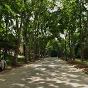 Gülhane-Park  Istanbul/Fatih : Eminönü-alt, Gülhane Park, Istanbul, Parks, Stadtteile, Türkei