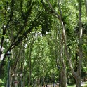 Gülhane-Park  Istanbul/Fatih : Eminönü-alt, Gülhane Park, Istanbul, Parks, Stadtteile, Türkei