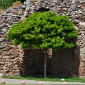 Theodosianische Seemauer  Istanbul/Fatih : Am Mamara Meer, Fatih, Istanbul, Seemauer, Stadtteile, Theodosianische Mauer, Türkei