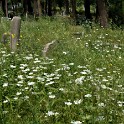 Karaca-Ahmed-Friedhof  Istanbul/Üskürdar : Istanbul, Karaca-Ahmed-Friedhof, Stadtteile, Türkei, Üskürdar