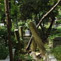 Karaca-Ahmed-Friedhof  Istanbul/Üskürdar : Istanbul, Karaca-Ahmed-Friedhof, Stadtteile, Türkei, Üskürdar