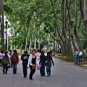 Gülhane-Park (Rosenhaus-Park)  Istanbul/Fatih : Eminönü-alt, Gülhane Park, Istanbul, Parks, Stadtteile, Türkei